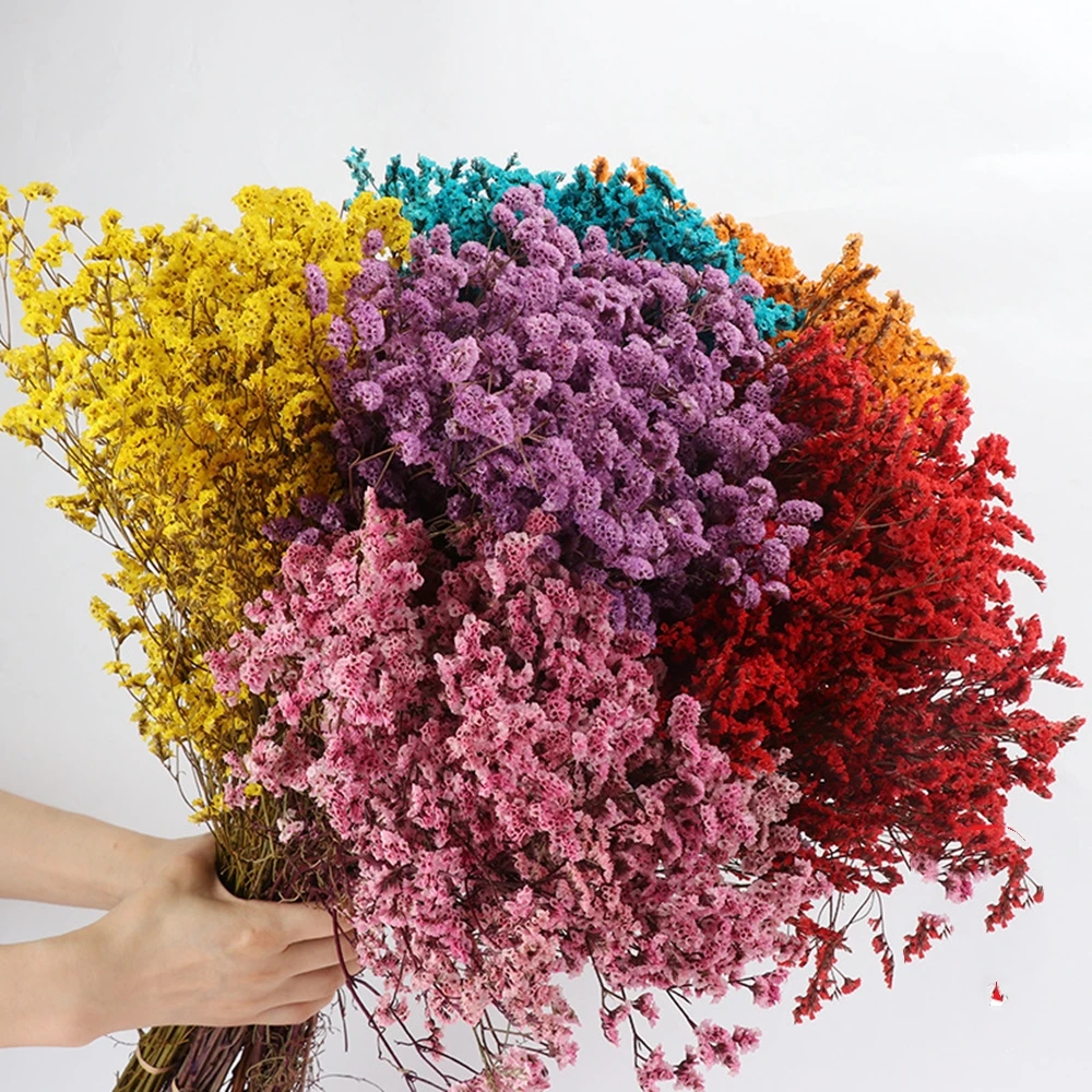 Real Crystal Dried Flowers,Nat - Dried Flower Bulk ulasan dan harga