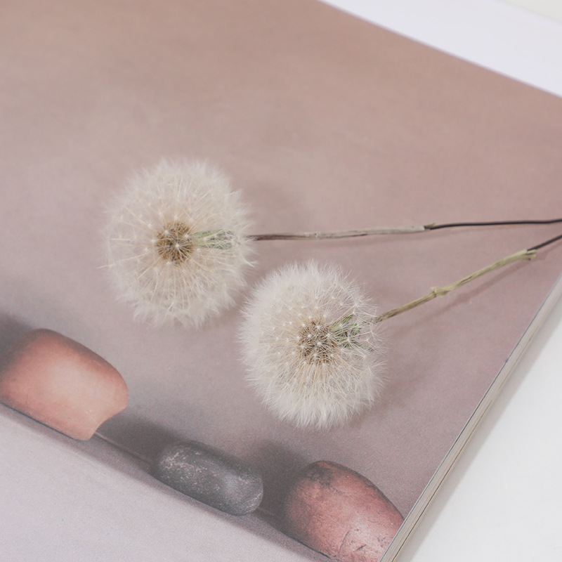 Preserved Dandelion DIY Epoxy  - Crafting Resin ulasan dan harga